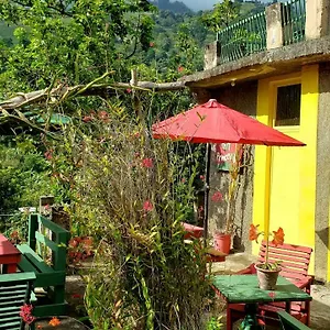 Valley , Irish Town Jamaïque